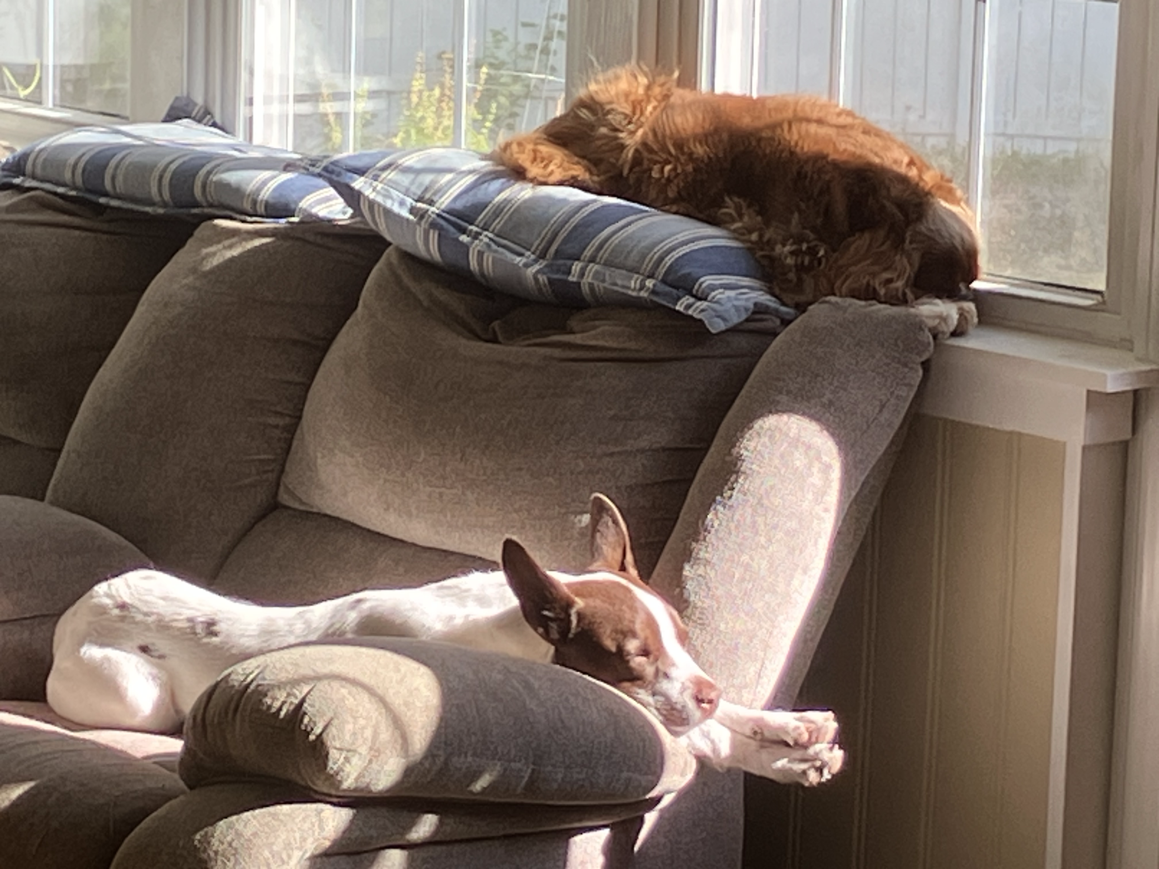 My brother and sister.