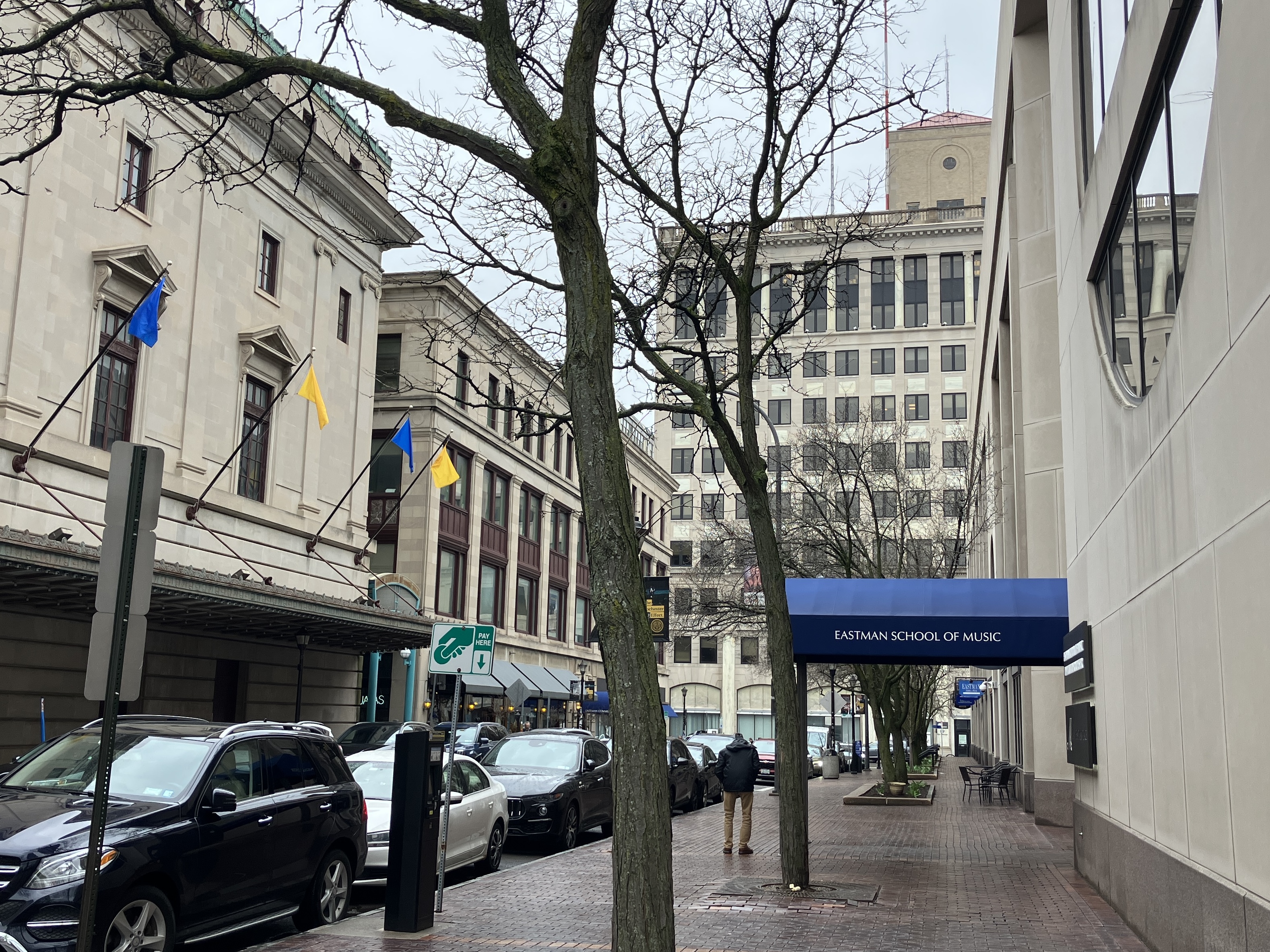 Seems like a chill street.