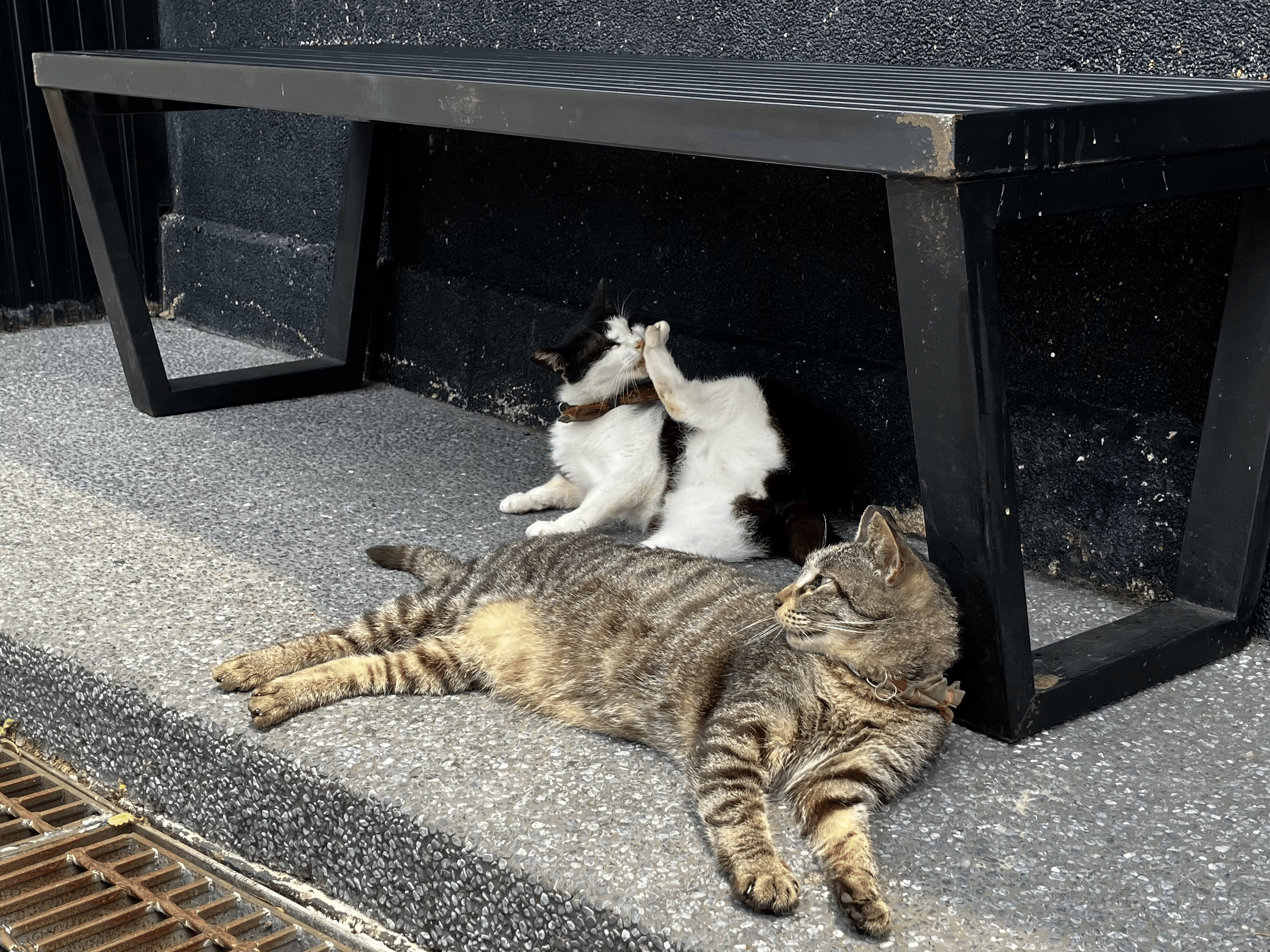 Like the MRT mascot, but in real life.