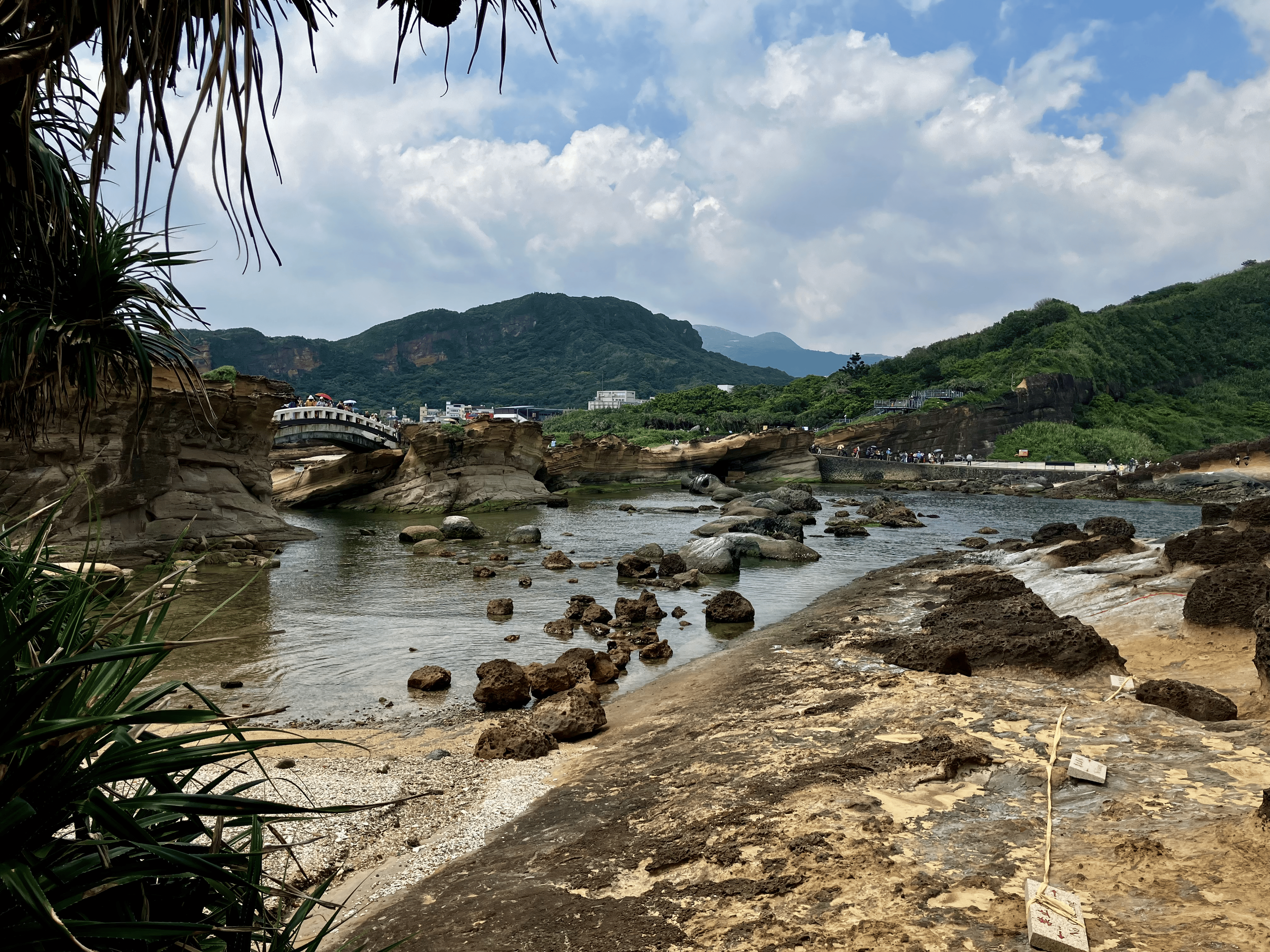 A really nice looking photo in today's weather.