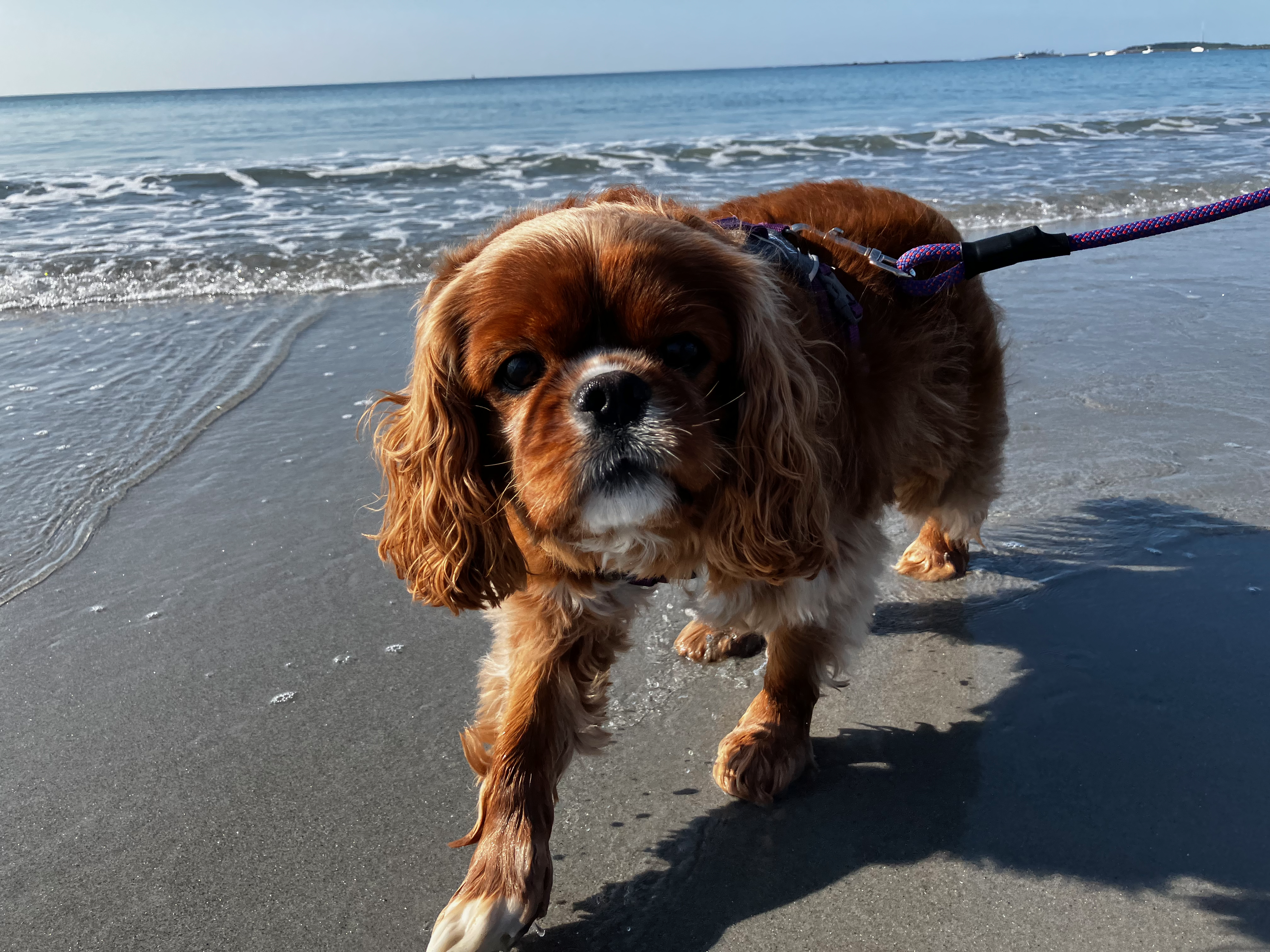 I also got to visit my adorable sister.