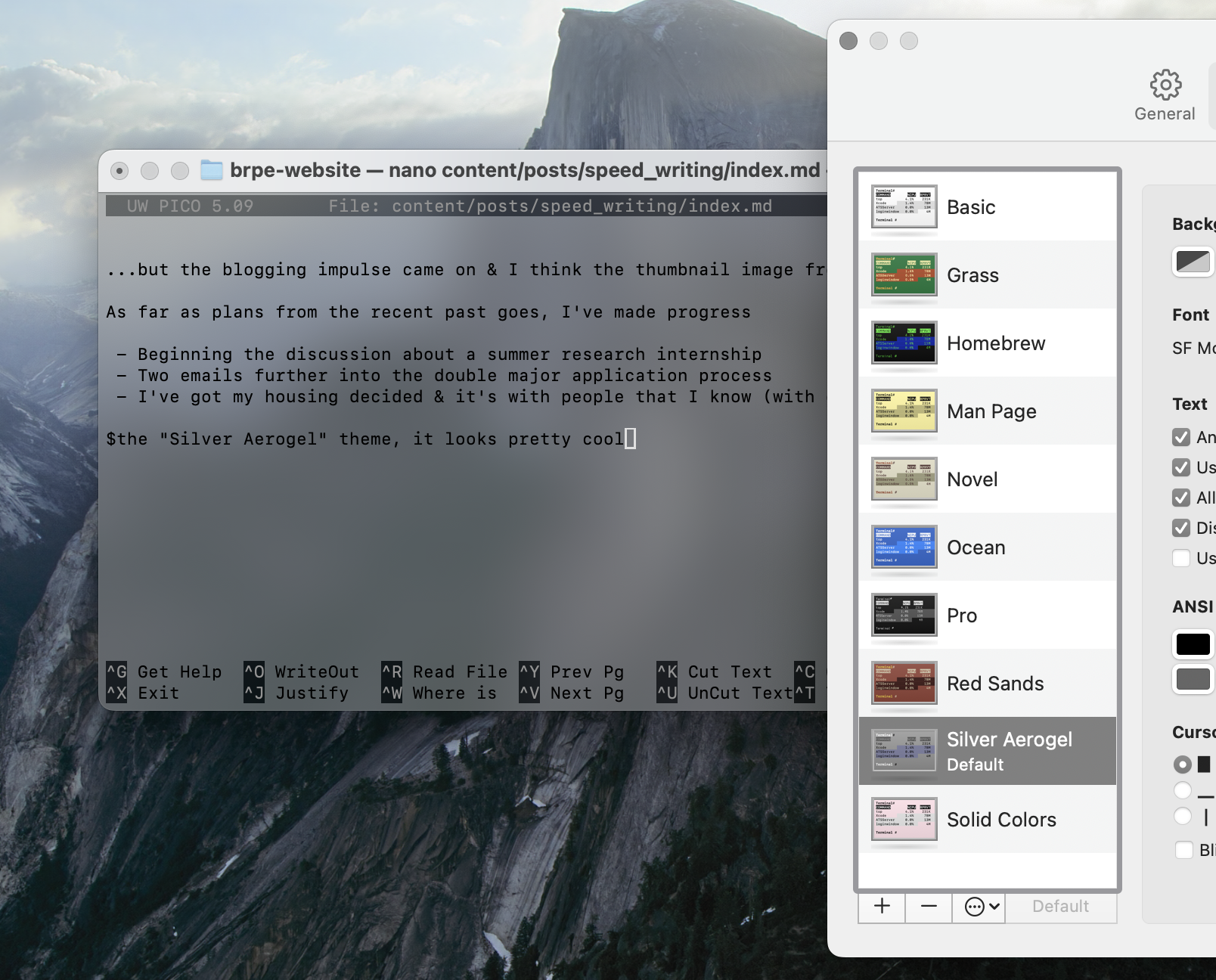 Frosted glass terminal window. If this were a real terminal, it'd have cataracts.