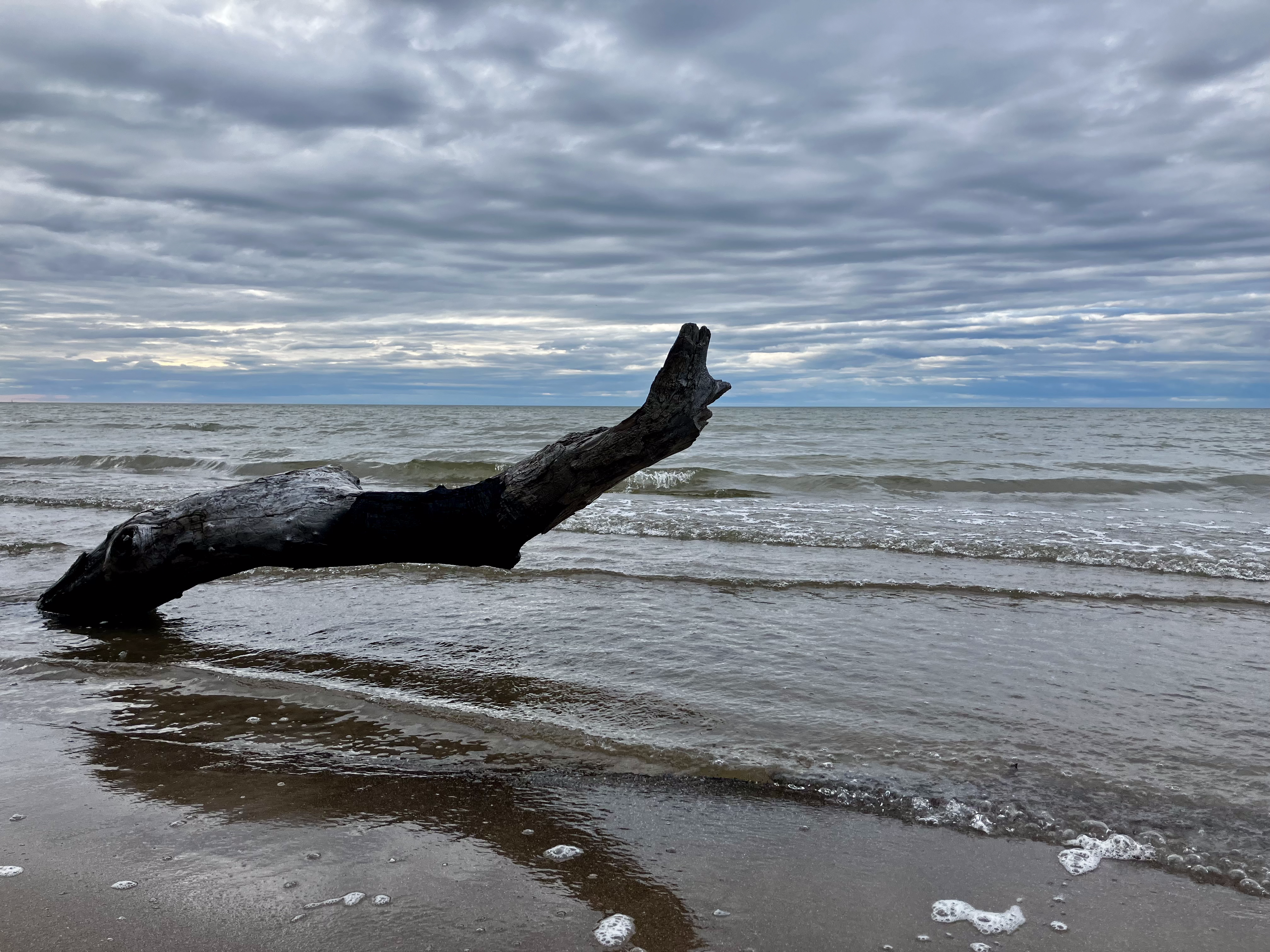 Lake Ontario beachfront.