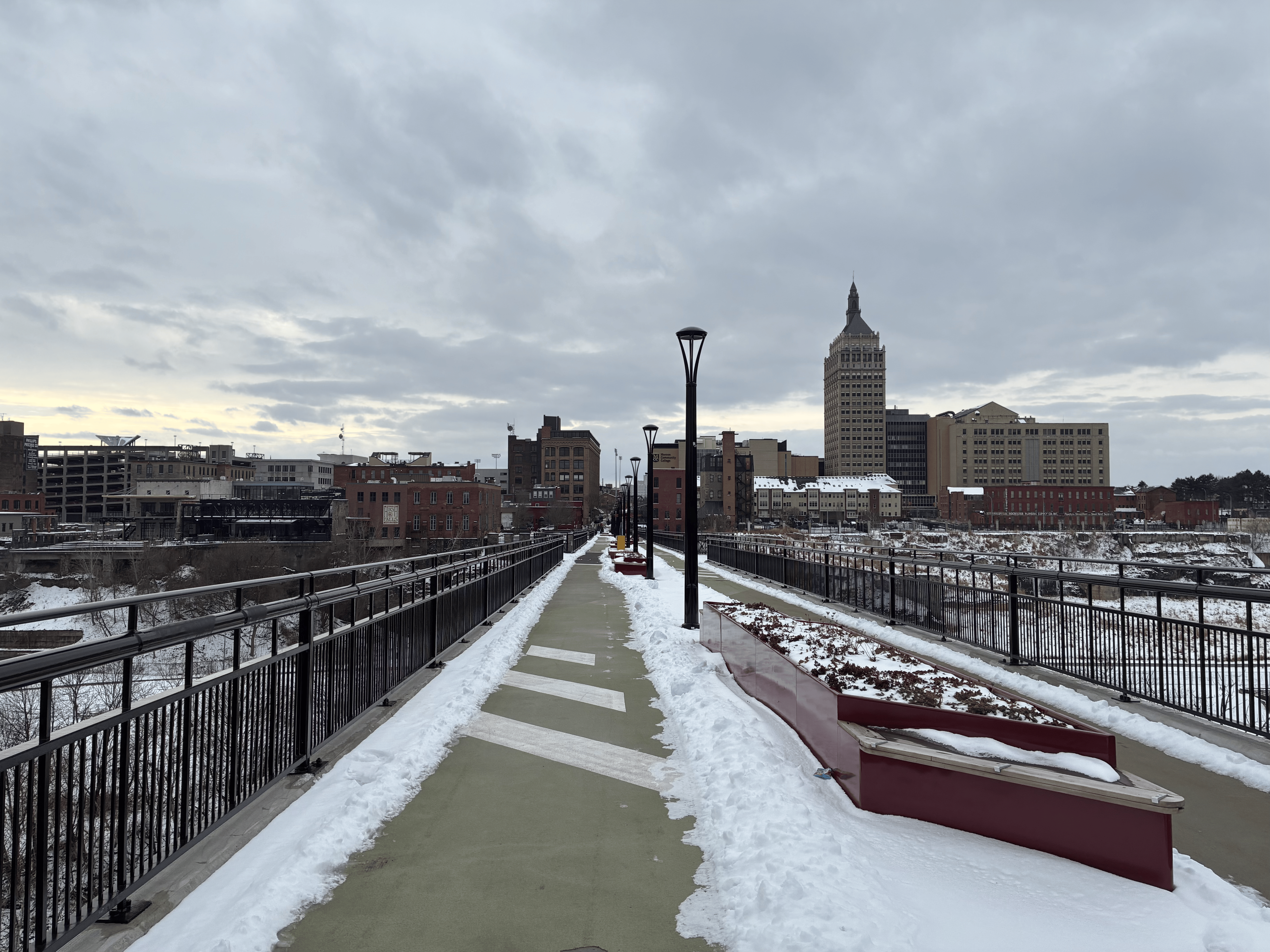 為什麼要來這冷白的凍土呢？